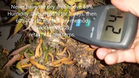 custom bud moisture meter|moisture meter for buds.